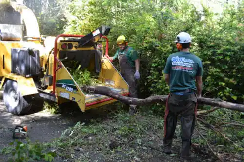 tree services Smiths Station